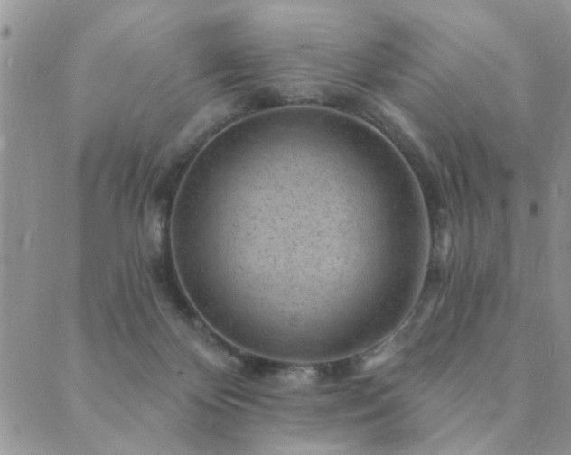 X0000089700124200706211328