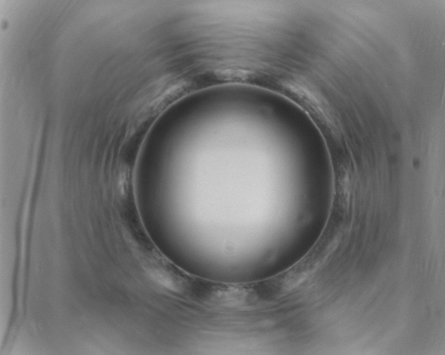 X0000089700125200706211328