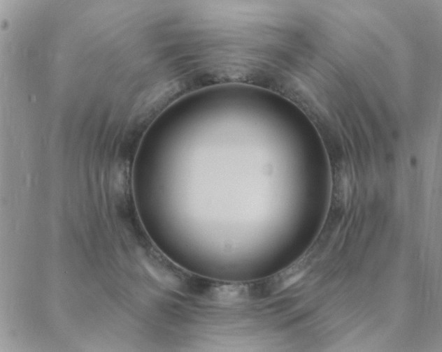 X0000089700126200706211328