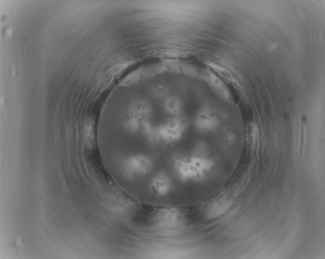 X0000089700127200706211328