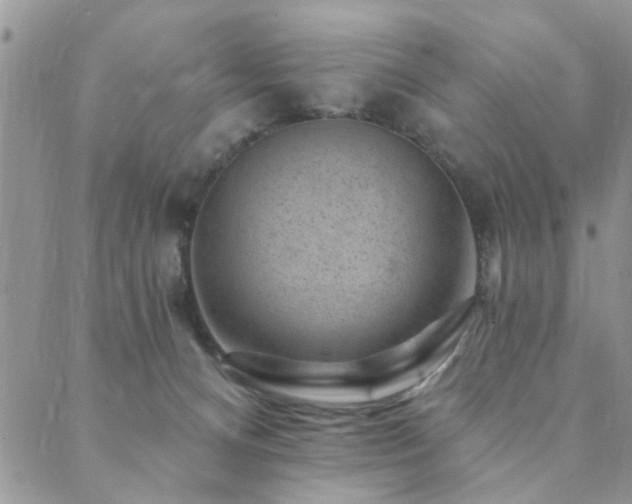 X0000089700128200706211328