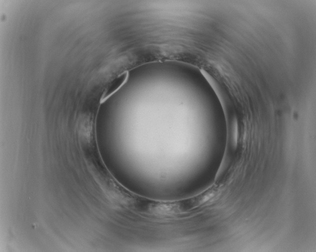 X0000089700129200706211328