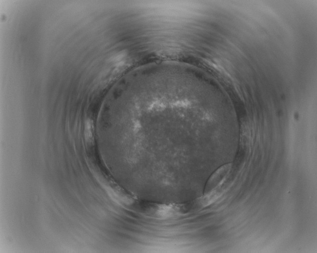 X0000089700130200706211328