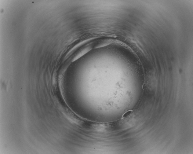 X0000089700131200706211328