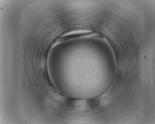 X0000089700132200706211328