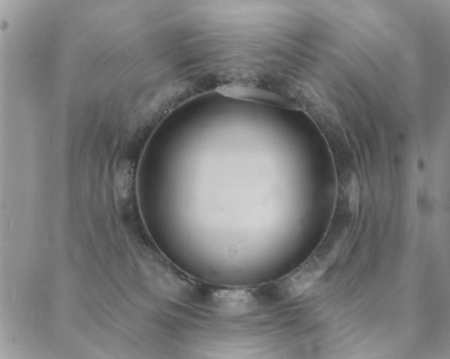 X0000089700133200706211328