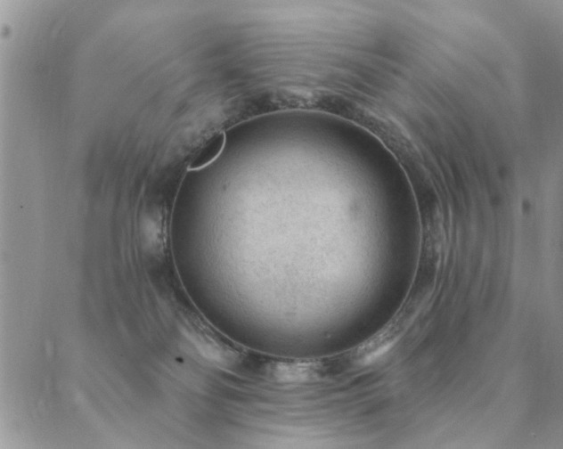 X0000089700134200706211328