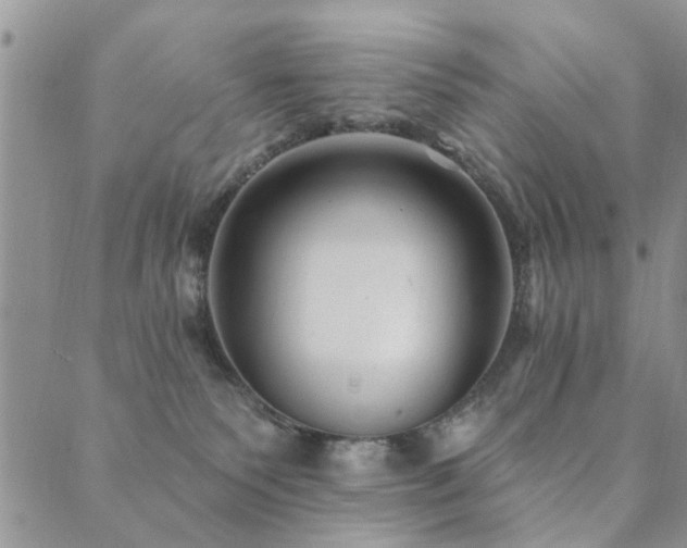 X0000089700135200706211328