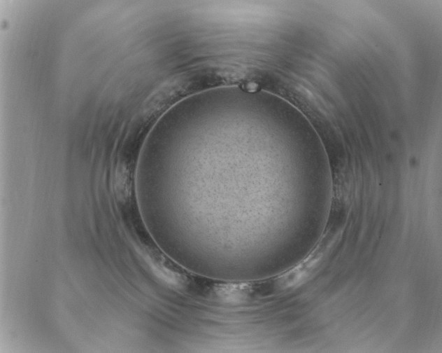 X0000089700136200706211327