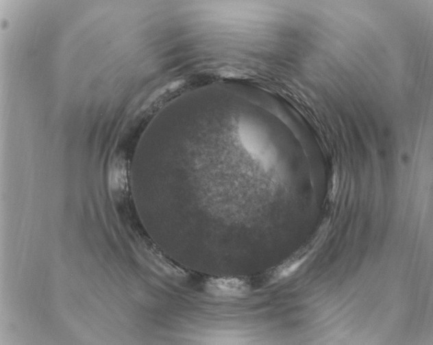 X0000089700137200706211327