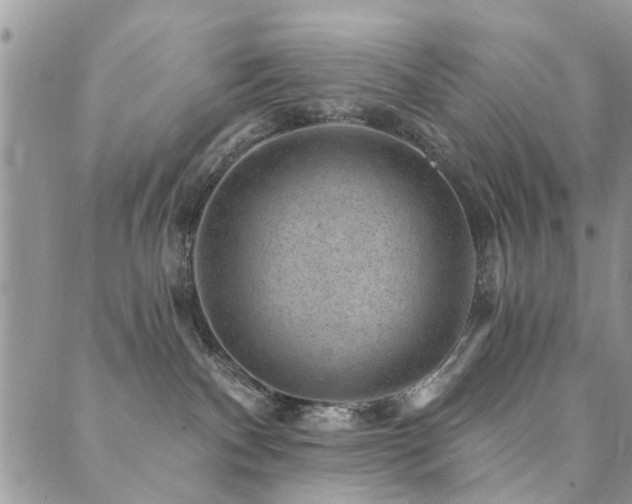 X0000089700140200706211327