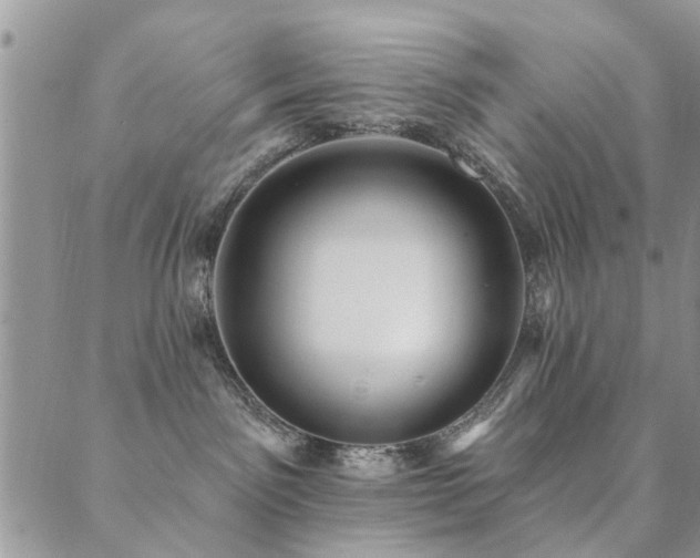 X0000089700141200706211327