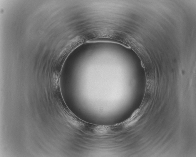 X0000089700142200706211327