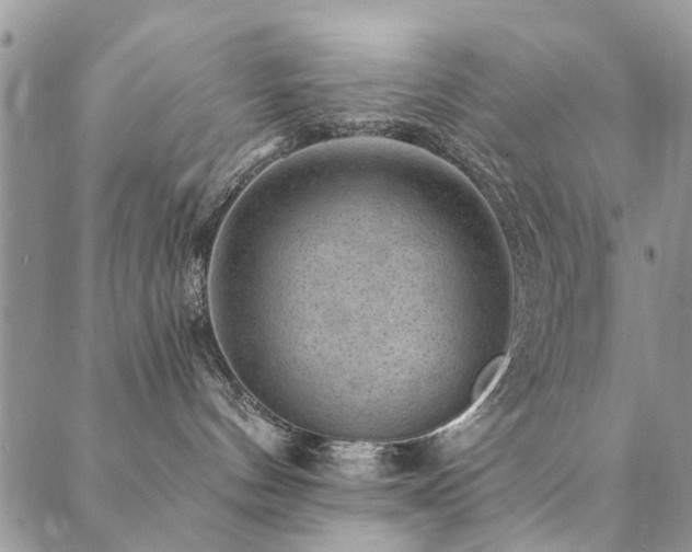 X0000089700144200706211327