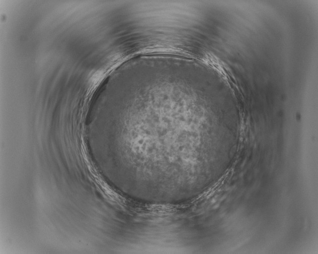 X0000089700145200706211327