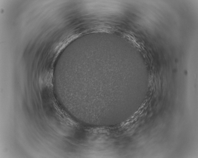 X0000089700146200706211327