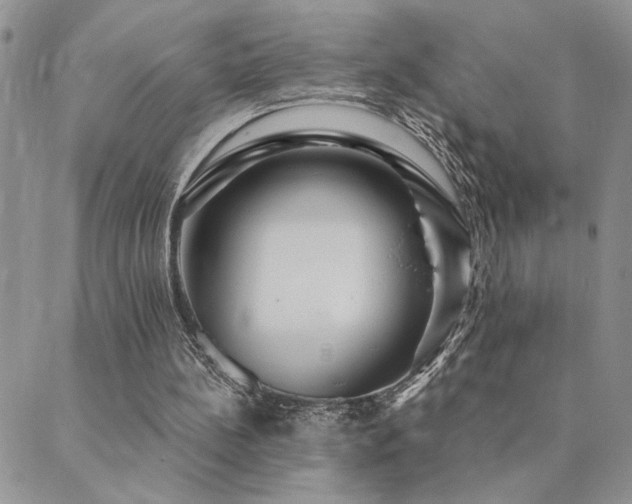 X0000089700148200706211327