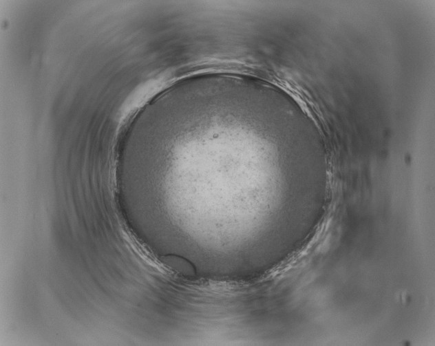 X0000089700149200706211327