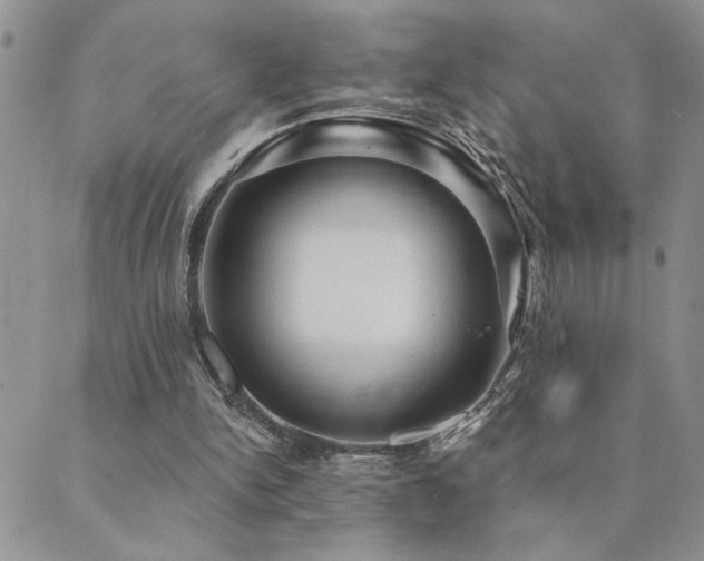 X0000089700150200706211327