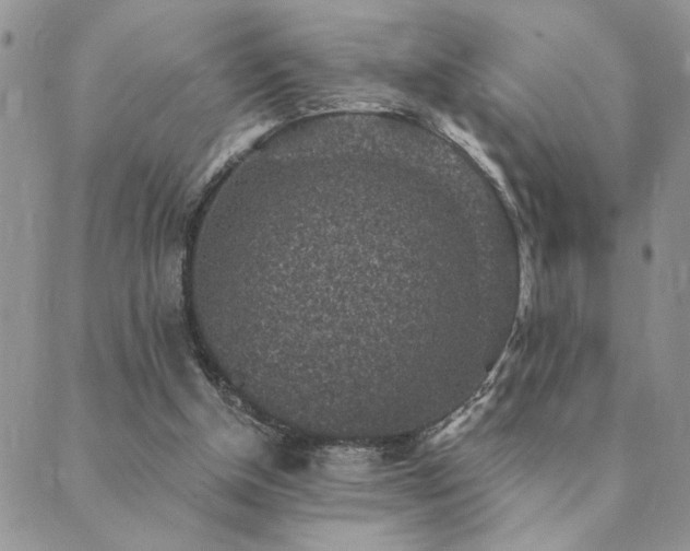 X0000089700154200706211327