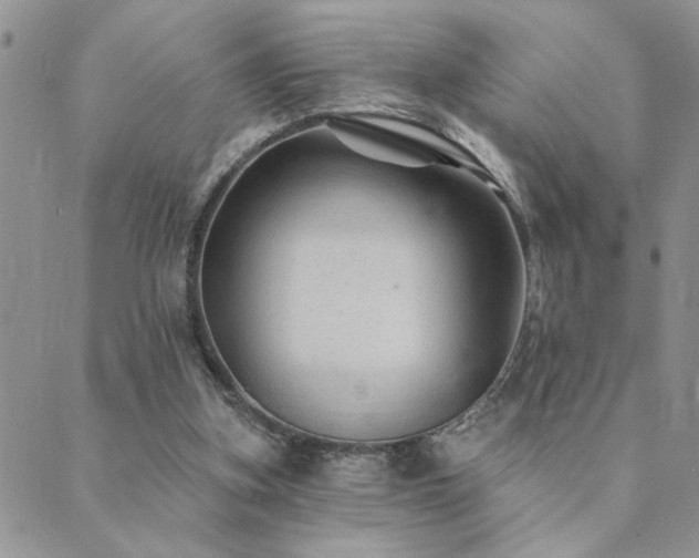 X0000089700155200706211327