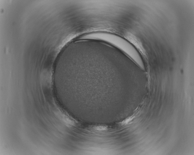 X0000089700156200706211327