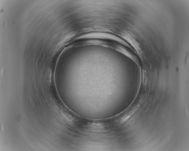 X0000089700157200706211327