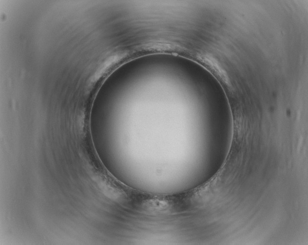 X0000089700159200706211327