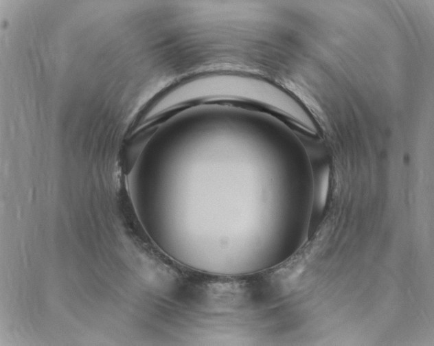 X0000089700160200706211327