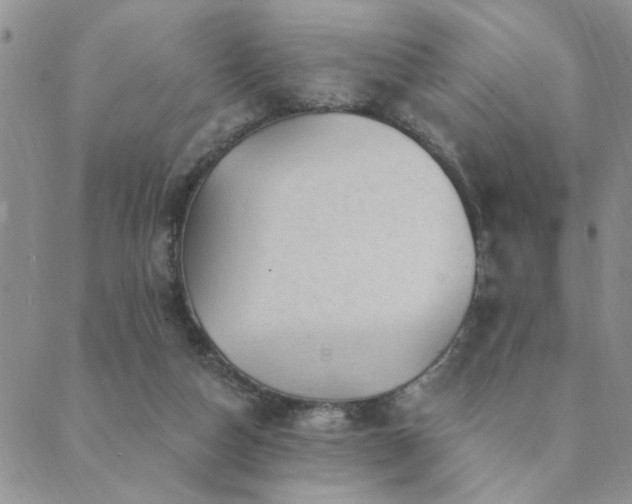 X0000089700162200706211327