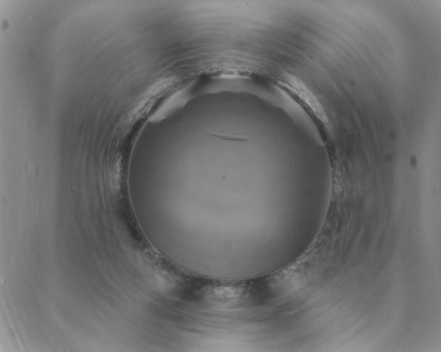 X0000089700163200706211327