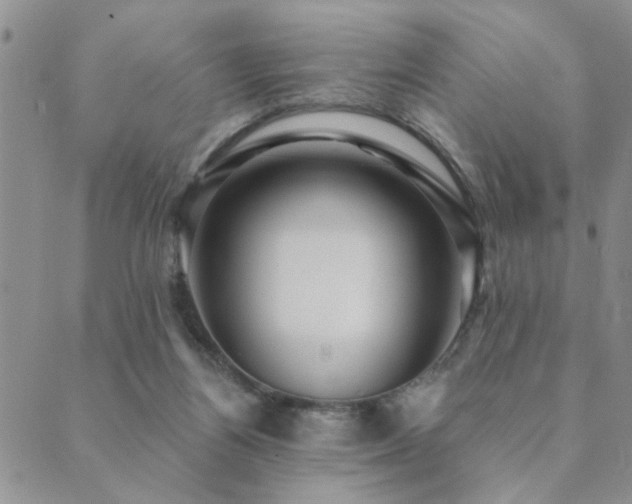 X0000089700164200706211327