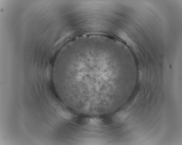 X0000089700165200706211327