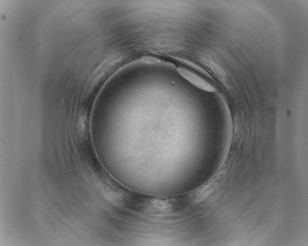 X0000089700166200706211327