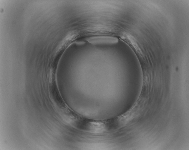 X0000089700167200706211327