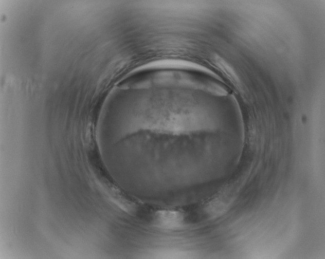 X0000089700169200706211327