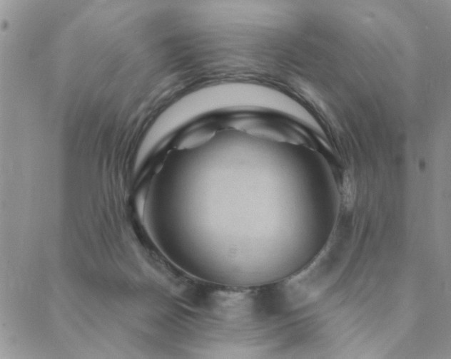 X0000089700170200706211327