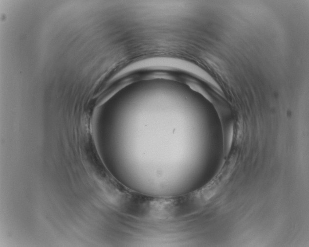 X0000089700172200706211327