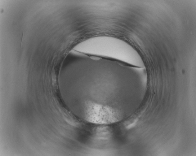 X0000089700173200706211327