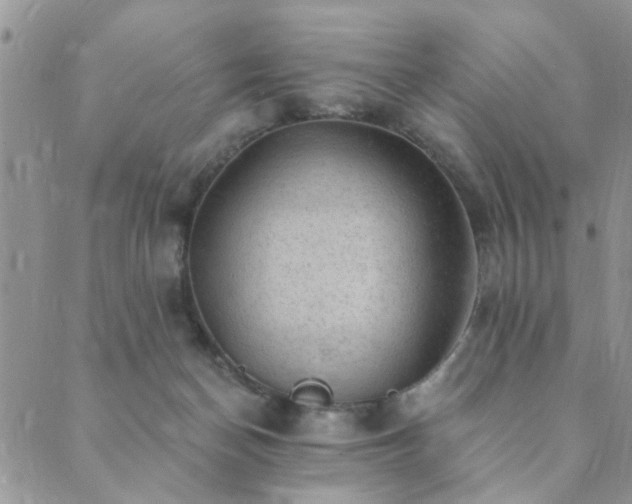 X0000089700174200706211327