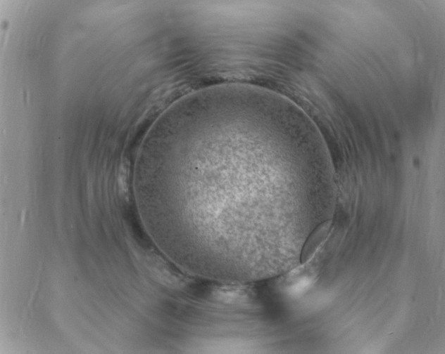 X0000089700175200706211327