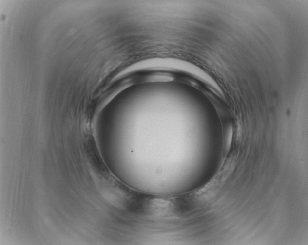 X0000089700176200706211327