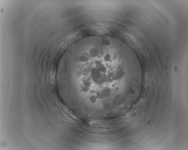 X0000089700177200706211327