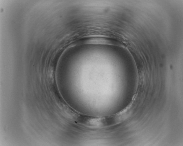 X0000089700178200706211327