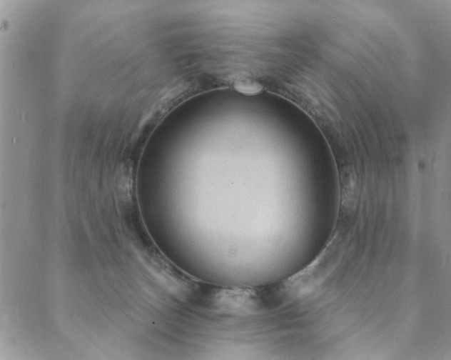 X0000089700179200706211327