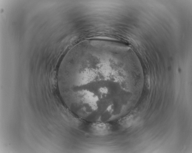 X0000089700181200706211327