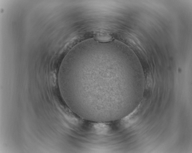 X0000089700183200706211327