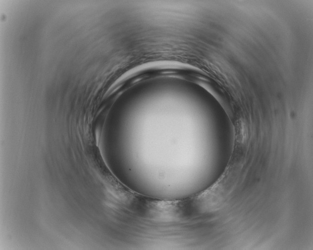 X0000089700184200706211327