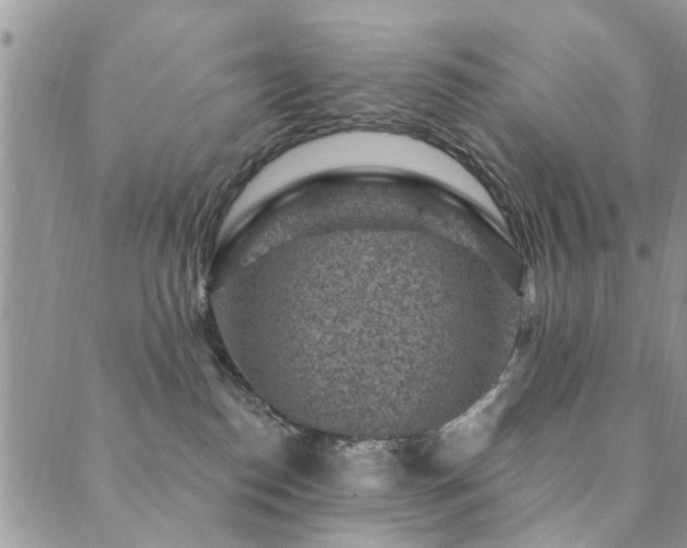 X0000089700186200706211327