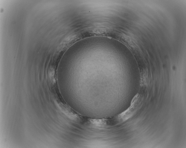 X0000089700187200706211327